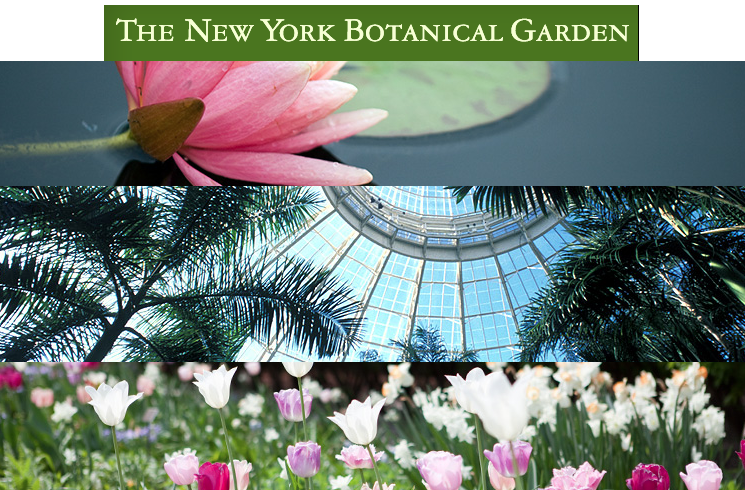 new york botanical garden 