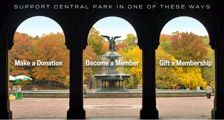 central park conservany 