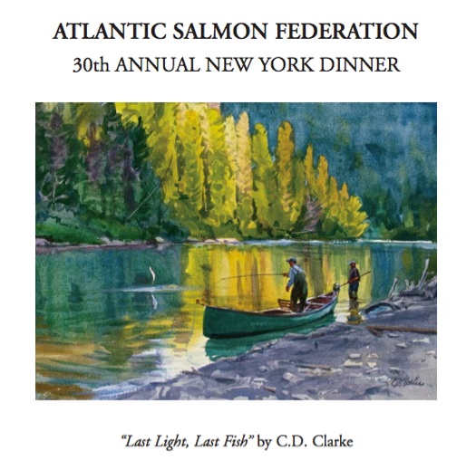 american salmon foundation 