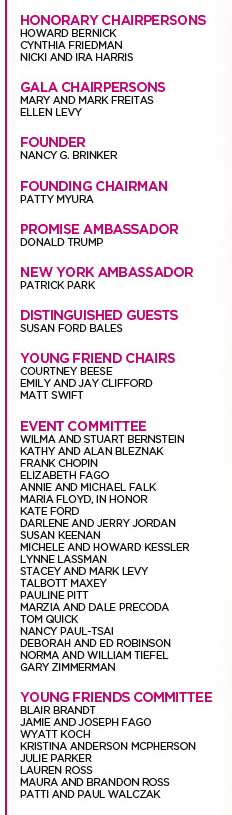 Susan G. Komen A Walk in the Park Perfect Pink Party Chairs and Event Committees