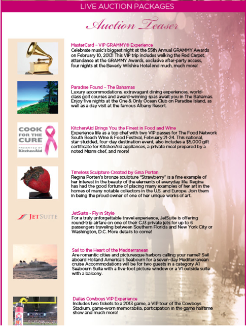 Susan G. Komen A Walk in the Park Perfect Pink Party Live Auction Teaser