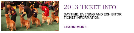 westminster kennel club 