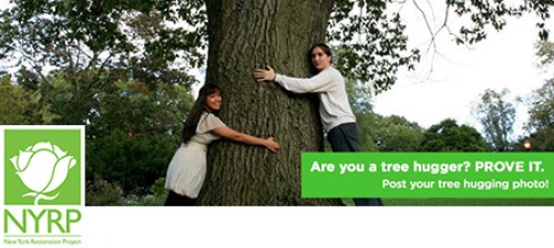 Are you a tree hugger?