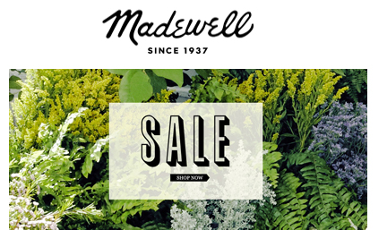 Madewell Sale