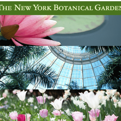 new york botanical garden