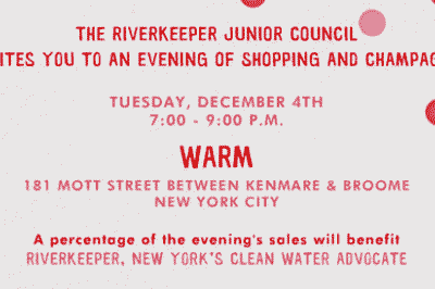 Riverkeeper Junior Council Shopping and Champagne at WARM