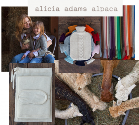 Alicia Alpaca