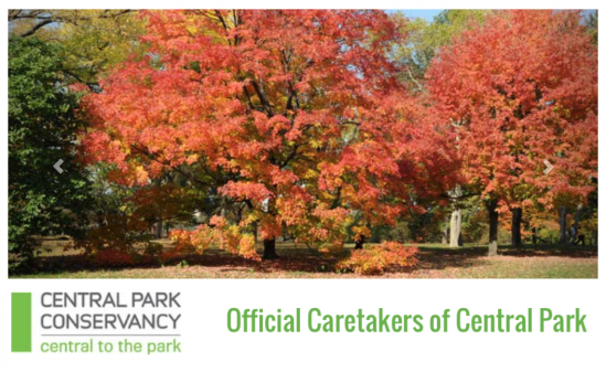 Central Park Conservancy