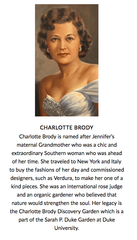 Shop Charlotte Brody Blouses on sale.  Perfect for work, play or travel.  