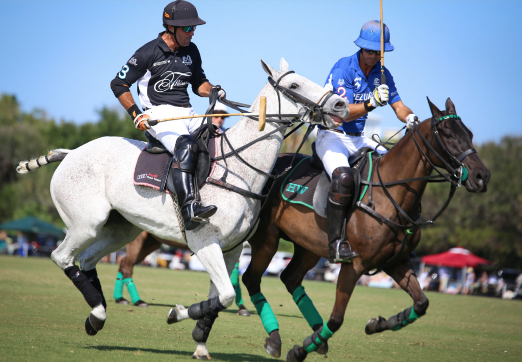Windsor Polo Charity match takes place on Saturday, February 15.  
What to wear. 