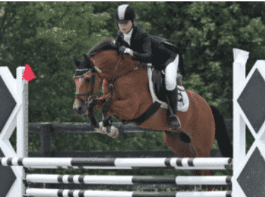 Millbrook Horse Trials, three day eventing 