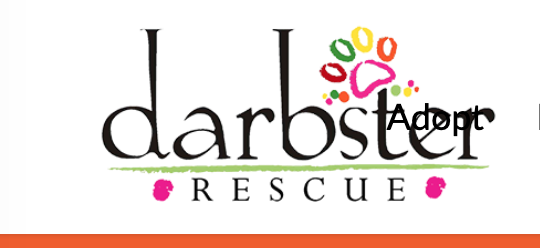  Diamonds are forever furever  third annual furball 2021', Darbster rescue.