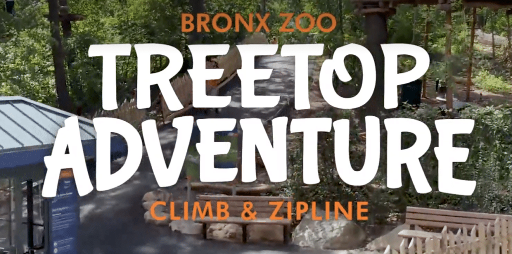 Karen Klopp and Hilary Dick picks the best articles in fashion and lifestyle this week  Bronx Zoo Treetop adventure climb and zip
