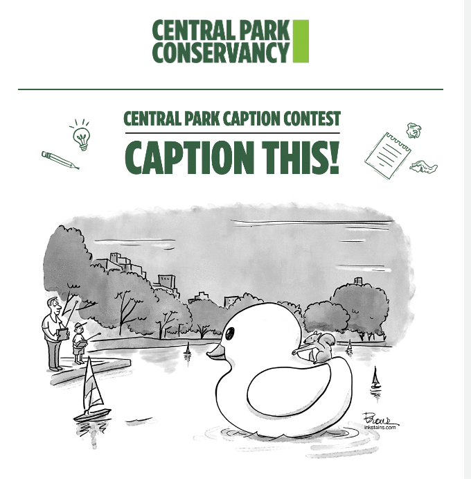 Central Park Conservancy, Caption This Contest