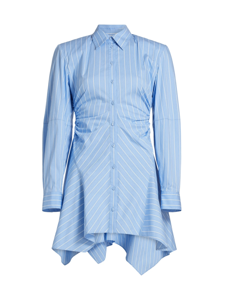 Ankvas shirt dress 