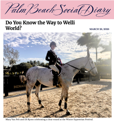 NYSD Do You Know the Way to Welli World?