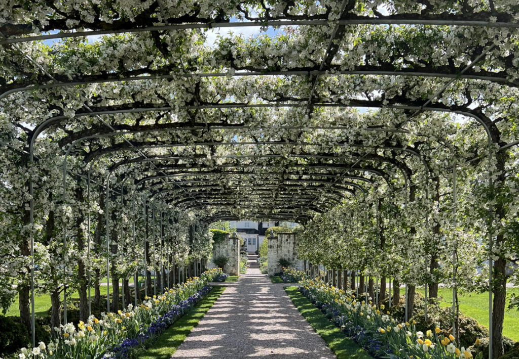 Private Newport: A Peek At Oak Springs