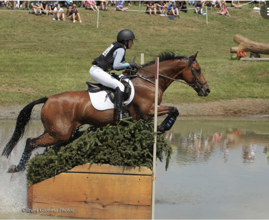 Millbrook horse trials