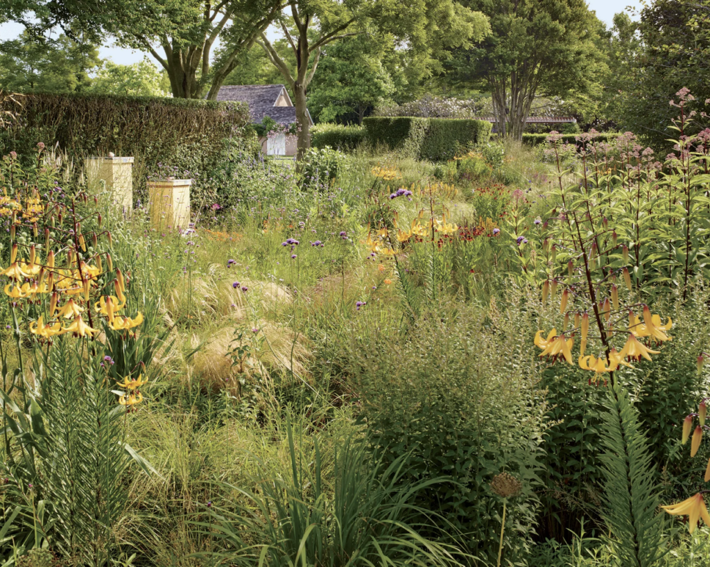 Vogue Magazine, Chaos Garden 
